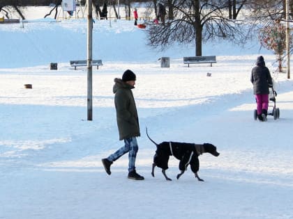 Кто будет платить больше по новой налоговой системе