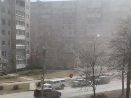 Роспотребнадзор признал воздух в Петрозаводске вредным для здоровья