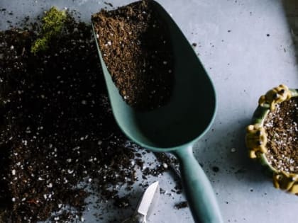 Дачникам дали пять советов, как правильно начать сезон