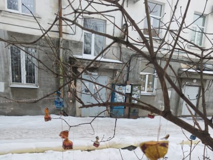 Неизвестный развесил сладкие подарки на ветках в Петрозаводске