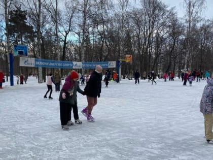 Каток в Губернаторском саду открылся, что там предлагают горожанам