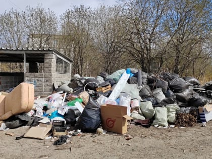 В Петрозаводске высокий уровень заболеваемости лихорадкой, которая передается от крыс