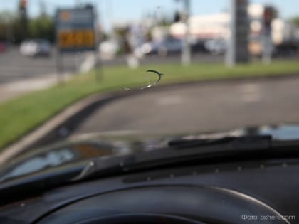 Житель Костомукши разбил лобовое стекло в машине друга после ссоры