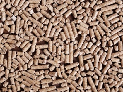 Крупный завод по выпуску древесных пеллет запустили в Карелии