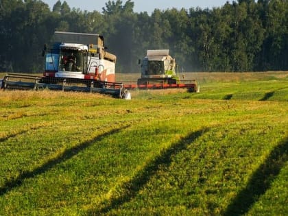 Суд признал незаконным решение Минимущества Карелии отказать фермеру в приватизации земли