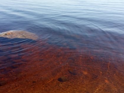 Врач предупредила об опасности купания сразу после еды