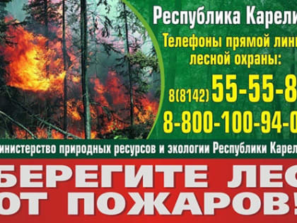 С 20 мая на территории всех районов Карелии устанавливается особый противопожарный режим