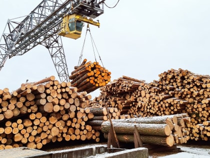 В Минэке Карелии рассказали об одном из главных экспортеров в лесопромышленном комплексе