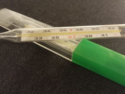 Заболеваемость ОРВИ в Карелии почти на треть уменьшилась