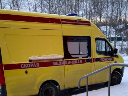 В Карелии выявили «свиной грипп»: что важно о нем знать?