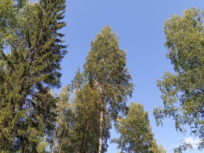 Петрозаводск: теплые дни под дождем