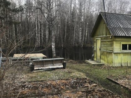 Названо, кому из сельских жителей  в Карелии полагается повышенная пенсия