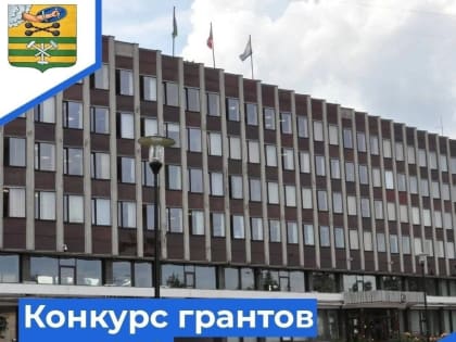 В карельской столице продолжается конкурс грантов для некоммерческих организаций