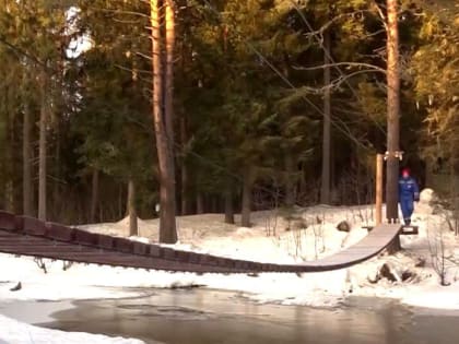 Волонтеры завершили строительство пешеходного моста через Лососинку