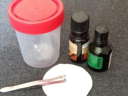 Россиянам дали алгоритм действий при укусе клеща