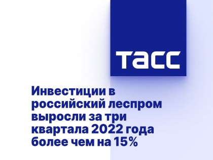 Карелию назвали в числе регионов-лидеров по объемам инвестиций в леспром