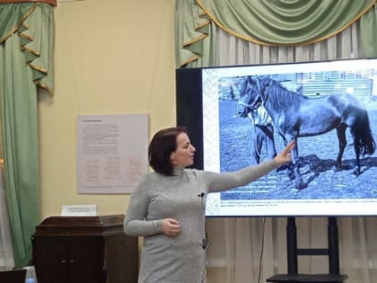 О карельской лесной лошади рассказали в Национальном музее РК