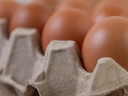 В Минсельхозе рассказали, когда в России подешевеют яйца