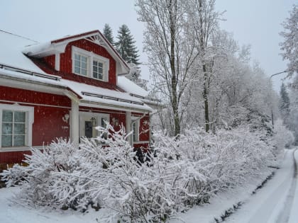 Средняя цена дома в Карелии выросла на 6,1% в конце 2024 года