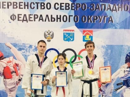 4-6 февраля состоялось Первенство СЗФО по  тхэквондо (ВТФ)