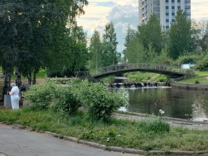 В Петрозаводске сняли карантинные посты от птичьего гриппа