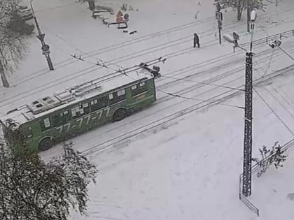 Один из троллейбусов в Петрозаводске временно снимут с линии