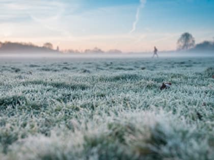 Этой ночью и ранним утром в Карелии зафиксировали заморозки