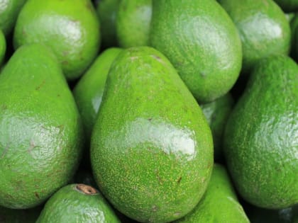 Вин и фруктов из ЮАР в России станет больше