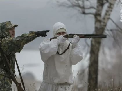 В Карелии повысили выплату охотникам за убитого волка
