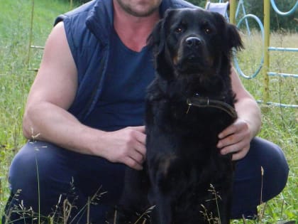 И СНОВА СУДЕБНЫЕ ПРИСТАВЫ..., КАК ОНИ МНЕ ДОРОГИ...