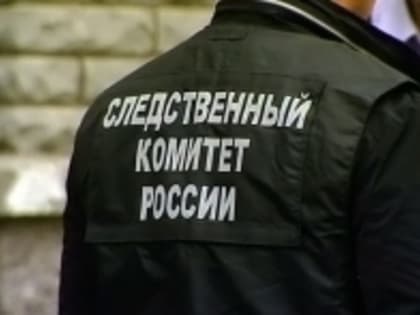 В Пряжинском районе житель города Петрозаводска обвиняется в покушении на убийство