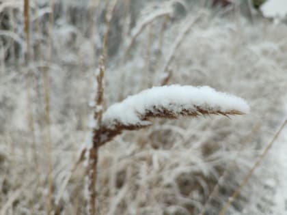 В Карелии резко похолодает. Прогноз погоды на 27 января