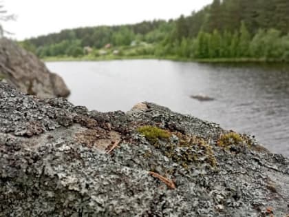 До 22 градусов тепла и дождь сегодня обещают в Карелии