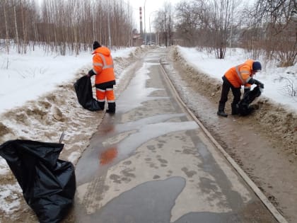 Тропу Ивана-Царевича в Петрозаводске привели в порядок