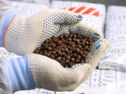 Карельские инвесторы, реализующие проекты в сфере аквакультуры, могут возместить часть затрат