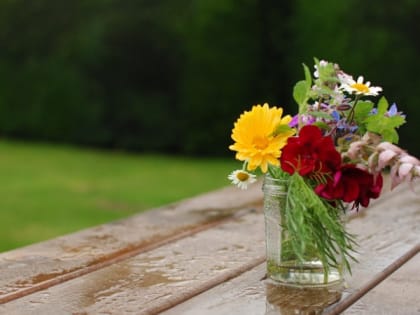 Местами в Карелии воздух прогреется до плюс 23 градусов