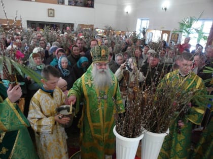 В Неделю ваий митрополит Константин совершил Литургию и чин освящения верб в Медвежьегорск