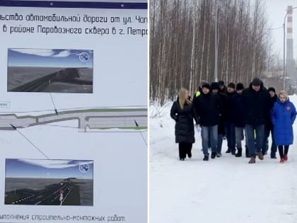 В Петрозаводске вырубят  деревья ради новой дороги и парковки