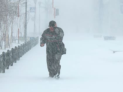 В ближайшие часы Петрозаводск может «накрыть» сильный ветер