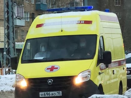 В Медвежьегорском районе насмерть разбился пожилой водитель