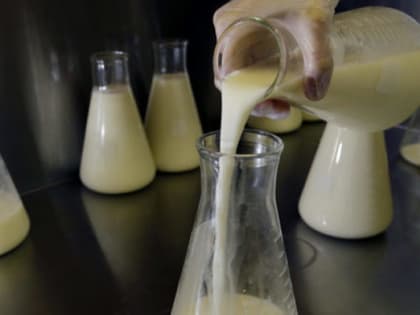 Известнейший бренд молочной продукции сменит название для российского рынка