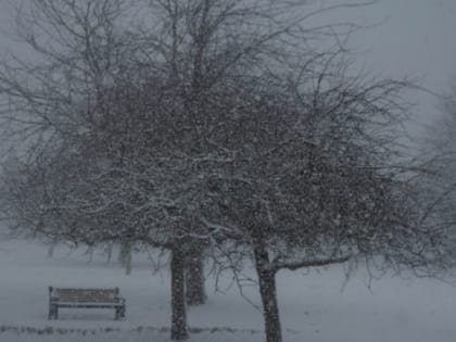 Снегопад обрушится на Карелию, порцию снега обещают и петрозаводчанам