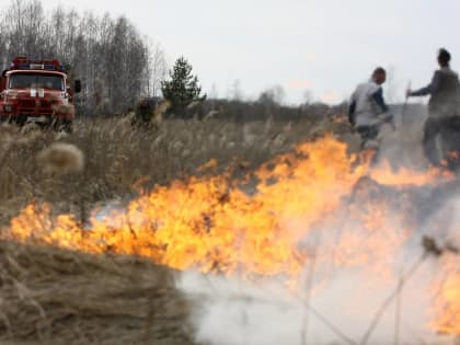 В пограничной зоне Карелии произошло два пожара