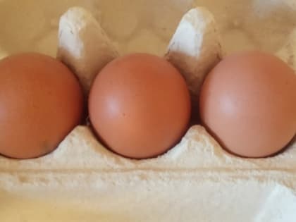 Российское яйцо предложили оставить в стране