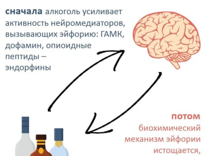 Медики Карелии рассказали, почему алкоголем нельзя вылечить депрессию