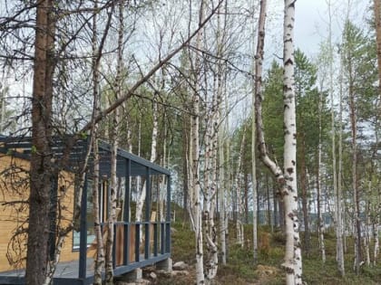 Предприниматель открыл глэмпинг в Лоухском районе с помощью господдержки