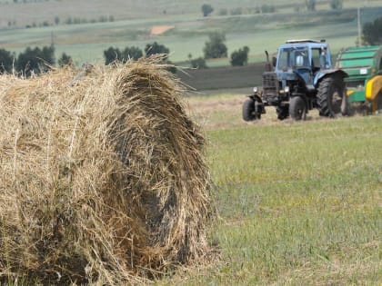 Карелия получит деньги на поднятие села