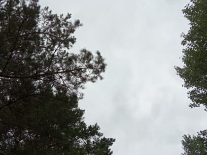 Синоптики рассказали о погоде в Карелии на сегодня, 23 июля