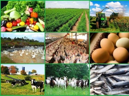 Акция в рамках программы «Дары Карелии».