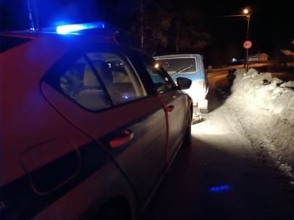 Двух пьяных водителей поймали в Лахденпохском районе